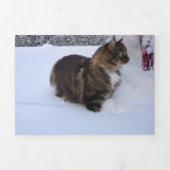 norwegian forest cat in snow drieluik wenskaart (Cover)