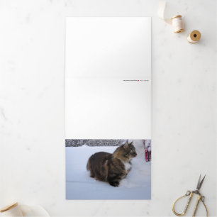 norwegian forest cat in snow drieluik wenskaart