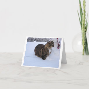 norwegian forest cat in snow feestdagen kaart