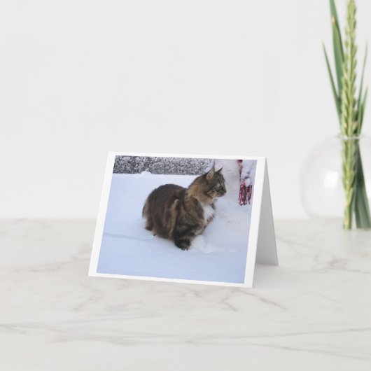 norwegian forest cat in snow feestdagen kaart (Voorkant)