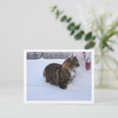 norwegian forest cat in snow feestdagenkaart (Staand voorkant)