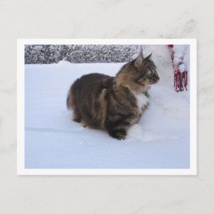 norwegian forest cat in snow feestdagenkaart