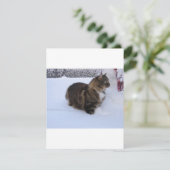 norwegian forest cat in snow feestdagenkaart (Staand voorkant)
