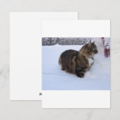 norwegian forest cat in snow feestdagenkaart (Voorkant / Achterkant)