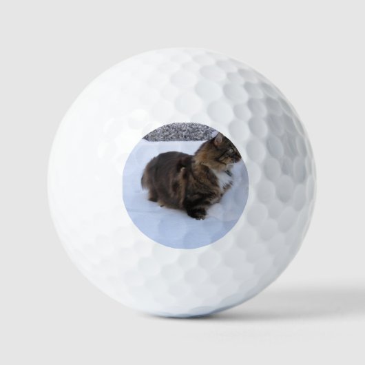 norwegian forest cat in snow golfballen (Voorkant)