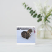 norwegian forest cat in snow informatiekaartje (Staand voorkant)