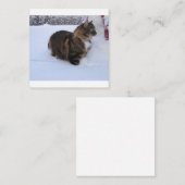 norwegian forest cat in snow informatiekaartje (Voorkant / Achterkant)
