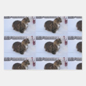 norwegian forest cat in snow inpakpapier vel (Voorkant 2)