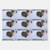 norwegian forest cat in snow inpakpapier vel (Voorkant)