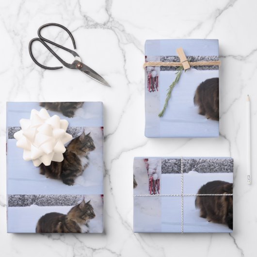 norwegian forest cat in snow inpakpapier vel (Voorkant)