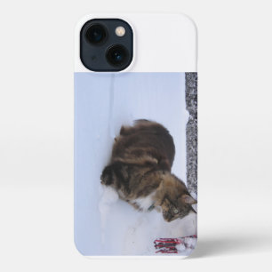 norwegian forest cat in snow iPhone 13 hoesje