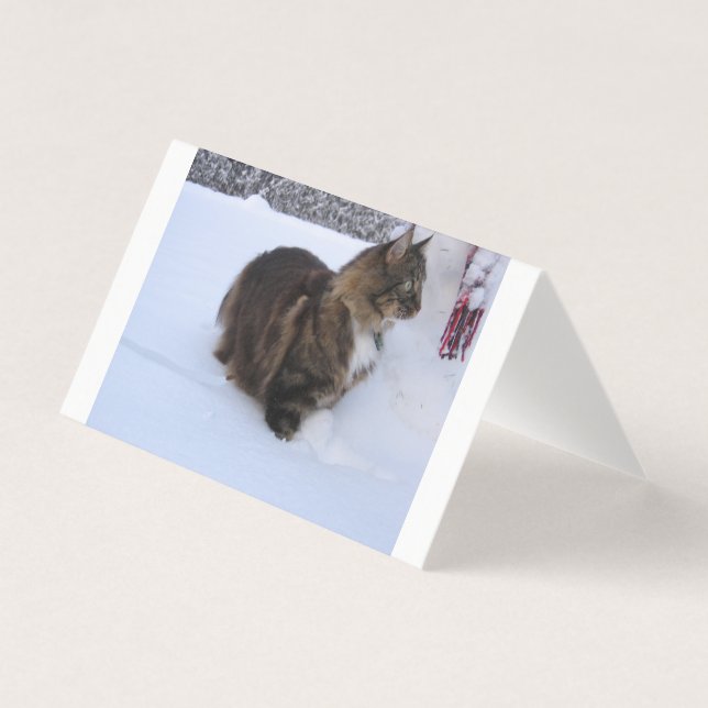norwegian forest cat in snow kaart (Voorkant)