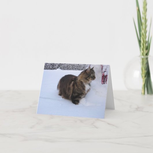 norwegian forest cat in snow kaart (Voorkant)
