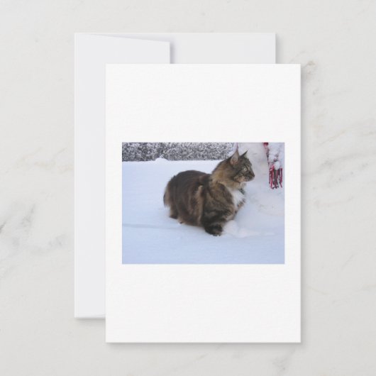 norwegian forest cat in snow kaart (Voorkant)