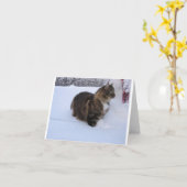 norwegian forest cat in snow kaart (Gele Bloem)