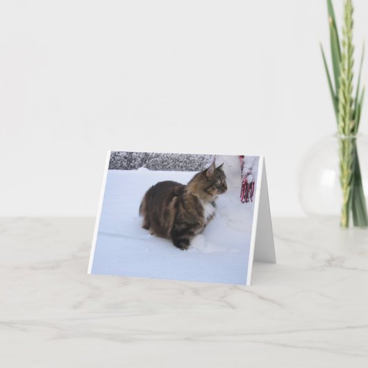 norwegian forest cat in snow kaart (Voorkant)