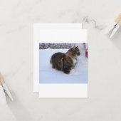 norwegian forest cat in snow kaart (Voorkant / Achterkant in situ)