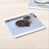 norwegian forest cat in snow kartonnen onderzetters (Schuin)