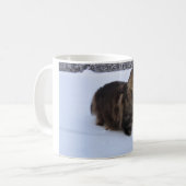 norwegian forest cat in snow koffiemok (Voorkant links)
