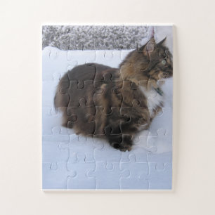 norwegian forest cat in snow legpuzzel