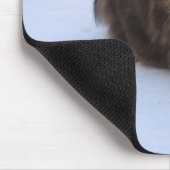 norwegian forest cat in snow muismat (Hoek)