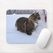 norwegian forest cat in snow muismat (Met muis)