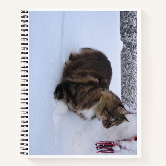 norwegian forest cat in snow notitieboek (Voorkant)