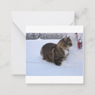 norwegian forest cat in snow notitiekaartje