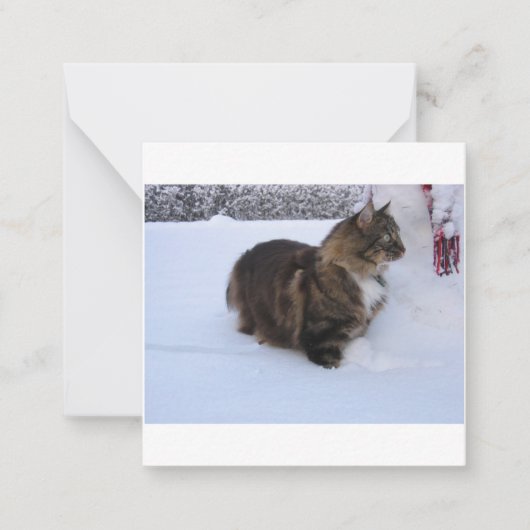 norwegian forest cat in snow notitiekaartje (Voorkant)