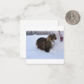 norwegian forest cat in snow notitiekaartje (Voorkant / Achterkant in situ)