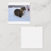 norwegian forest cat in snow notitiekaartje (Voorkant / Achterkant)