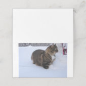 norwegian forest cat in snow plaatskaartje (Buitenkant ongevouwen)