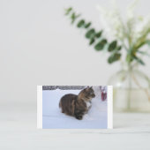 norwegian forest cat in snow plaatskaartje (Staand voorkant)