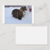 norwegian forest cat in snow plaatskaartje (Voorkant / Achterkant)