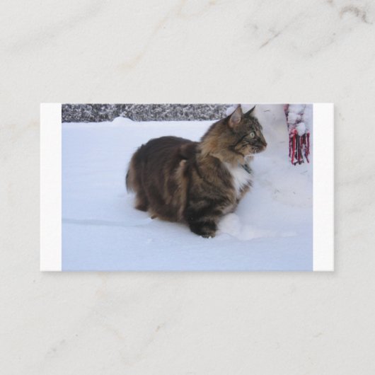 norwegian forest cat in snow plaatskaartje (Voorkant)