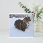 norwegian forest cat in snow programmakaart (Staand voorkant)