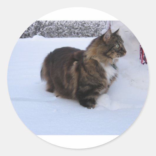 norwegian forest cat in snow ronde sticker (Voorkant)
