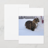 norwegian forest cat in snow save the date (Voorkant / Achterkant)
