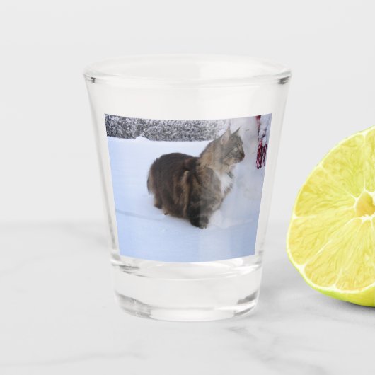 norwegian forest cat in snow shot glas (Voorkant)