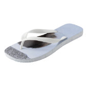 norwegian forest cat in snow teenslippers (Schuin)