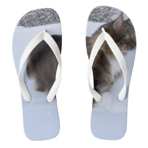 norwegian forest cat in snow teenslippers
