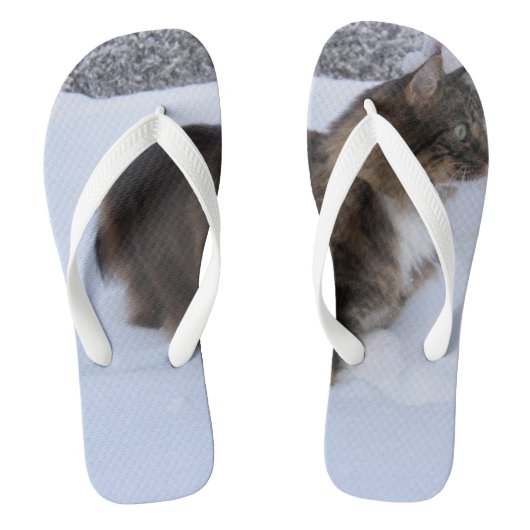 norwegian forest cat in snow teenslippers (Voetbed)