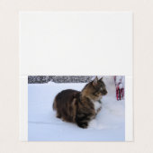 norwegian forest cat in snow visitekaartje (Buitenkant ongevouwen)