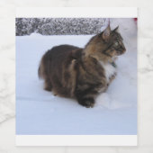 norwegian forest cat in snow wijn etiket (Enkel label)