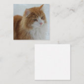 Norwegian_Forest_Cat Informatiekaartje (Voorkant / Achterkant)