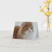 Norwegian_Forest_Cat Kaart (Gele Bloem)
