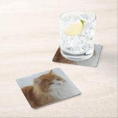 Norwegian_Forest_Cat Kartonnen Onderzetters (Insitu)