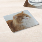Norwegian_Forest_Cat Kartonnen Onderzetters (Schuin)