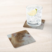 Norwegian_Forest_Cat Kartonnen Onderzetters (Insitu)