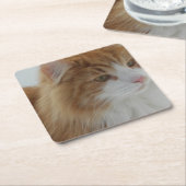 Norwegian_Forest_Cat Kartonnen Onderzetters (Schuin)